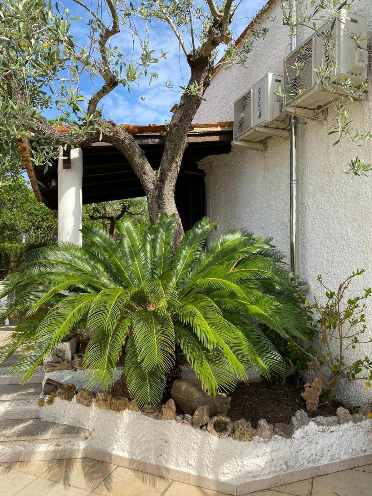 Domo Angheleda - Alghero Casa Indipendente Vicino Al Mare Dış mekan fotoğraf